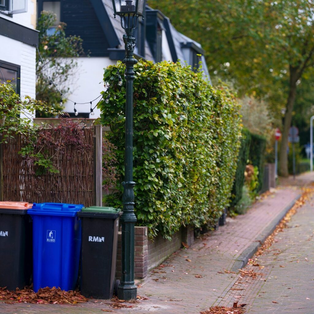 Residential curbside trash and recycling bins beside a landscaped neighborhood sidewalk, representing dumpster rental services near me.
