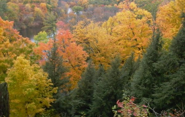 Dumpster Rental in Hesperia, MI - Guardian Dumpster